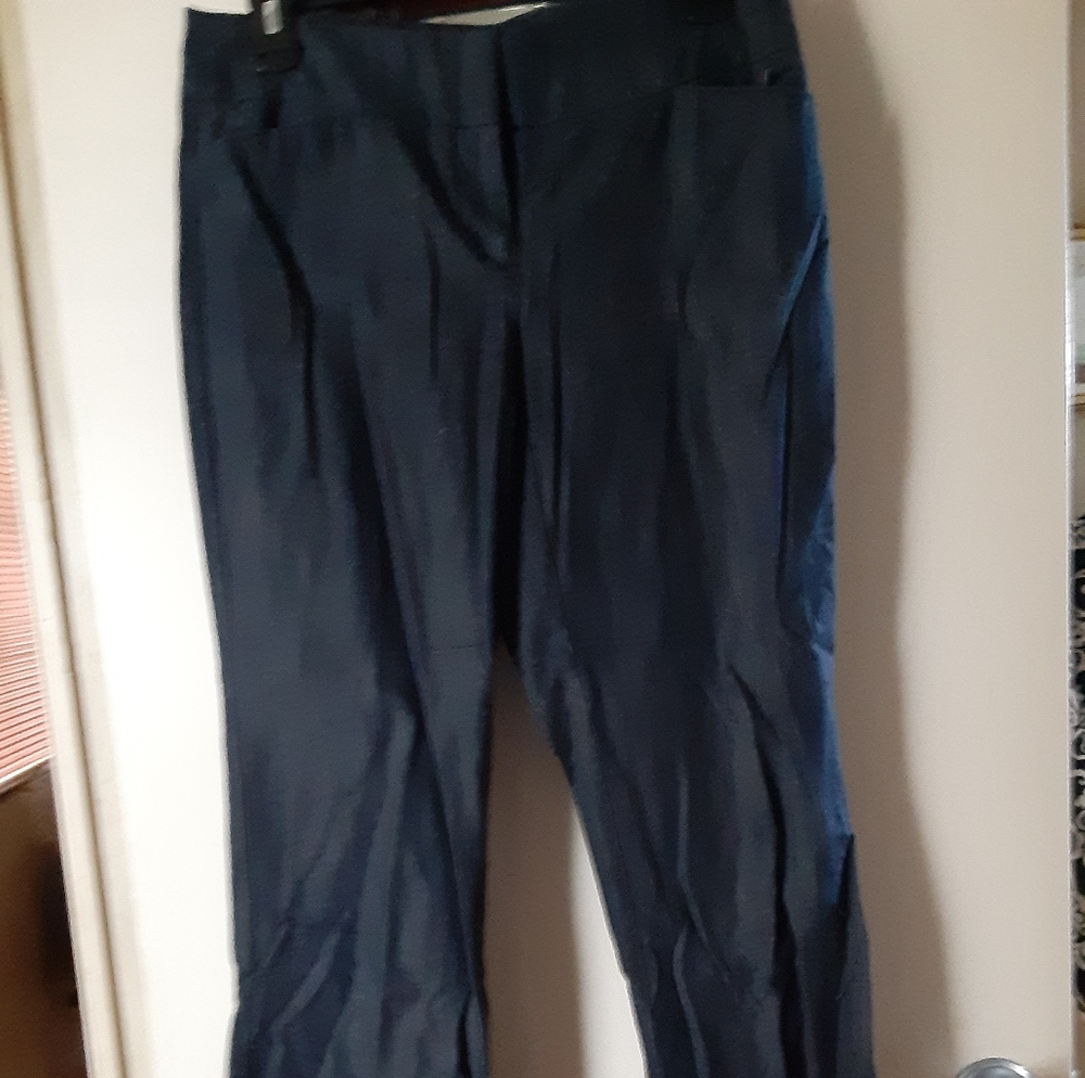 Anne Taylor Loft dress pants/slacks.